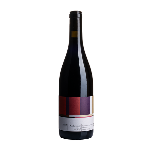 WEINBAU MICHAEL BROGER Blauburgunder Ottoberg