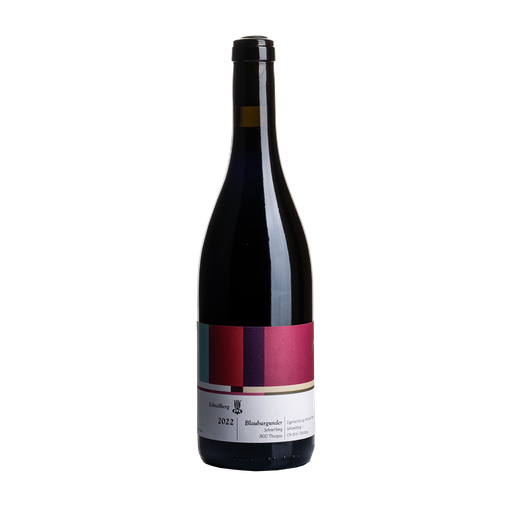 [B2350] WEINBAU MICHAEL BROGER Blauburgunder Schnellberg (2022)