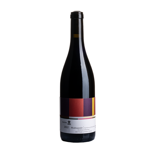 [B2355] WEINBAU MICHAEL BROGER Blauburgunder Alte Rebe (2022)