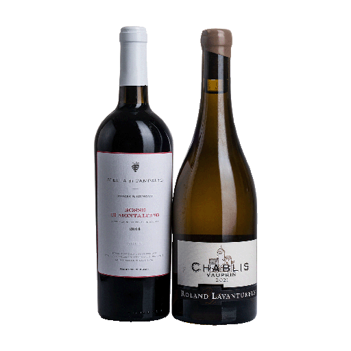 STELLA x ROLAND First Love