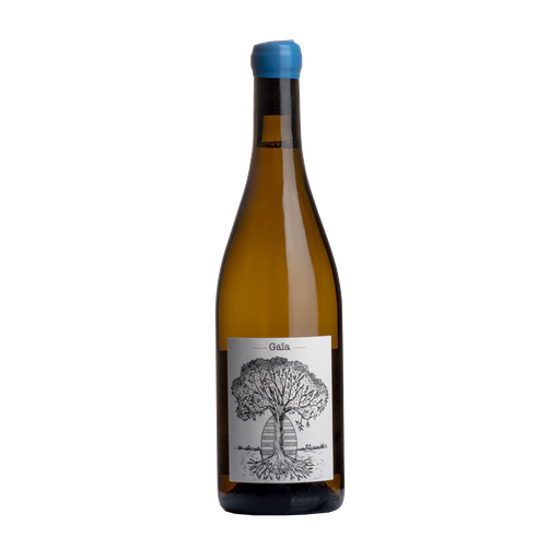 [B2912] JEROME BRETAUDEAU Gaïa (2022)