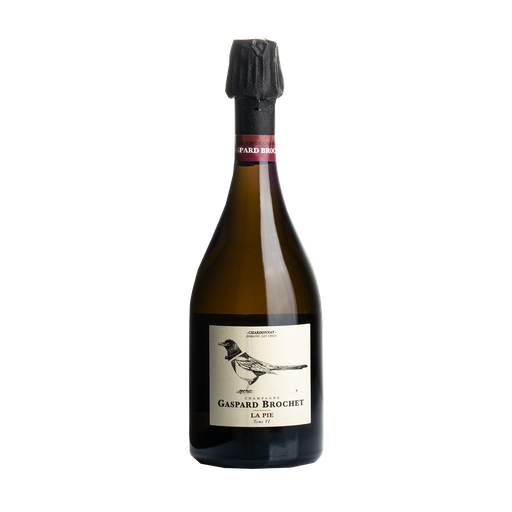 [B3129] CHAMPAGNE GASPARD BROCHET La Pie Tome VI Extra Brut Blanc de Blancs