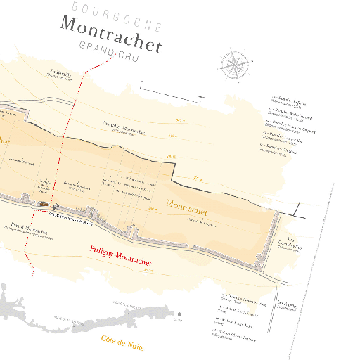 [S1015] LAURENT GOTTI Montrachet Grand Cru Carte en papier (FR)