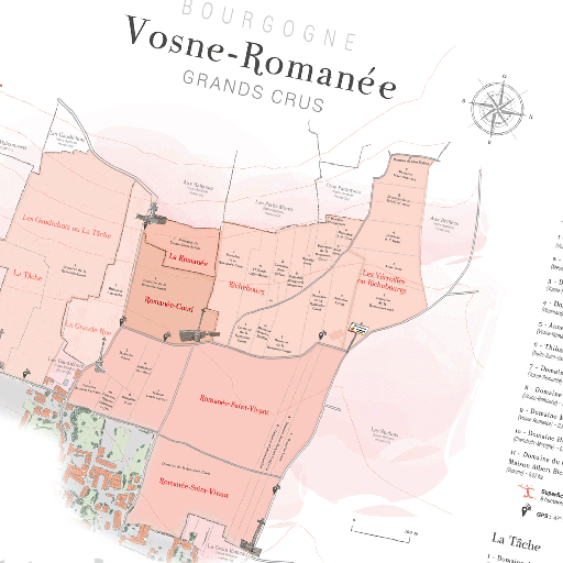 [S1016] LAURENT GOTTI Vosne-Romanée Grand Crus Wine Map (FR)
