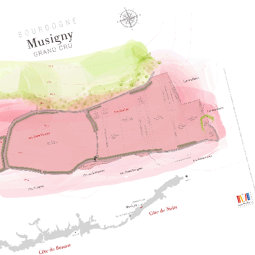 [S1017] LAURENT GOTTI Musigny Grand Cru Wine Map (FR)